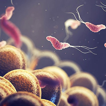 Анализ на Хеликобактер Пилори Алматы